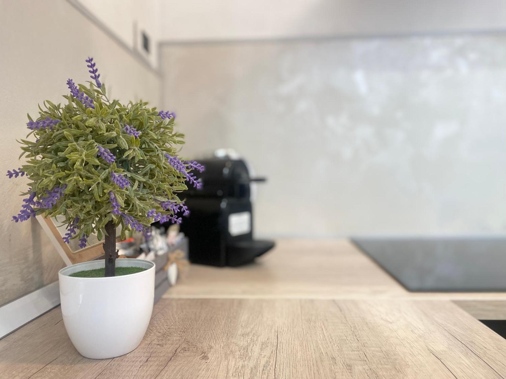 Mazzini 12 Very Central Apartment With Private Garage, Air Conditioning, Wifi, Just 50 Meters From The Beach ラッパロ エクステリア 写真
